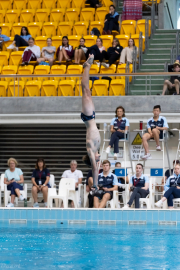 Tanner takes the dive: National Diving Champion 
