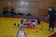 Auckland Secondary Schools Wrestling Championships