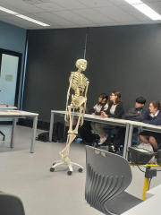 Media Design School Visit