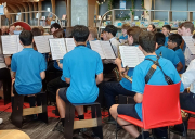 Te Manawa Library Concert