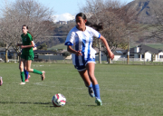 Rutherford teams attend tournament week