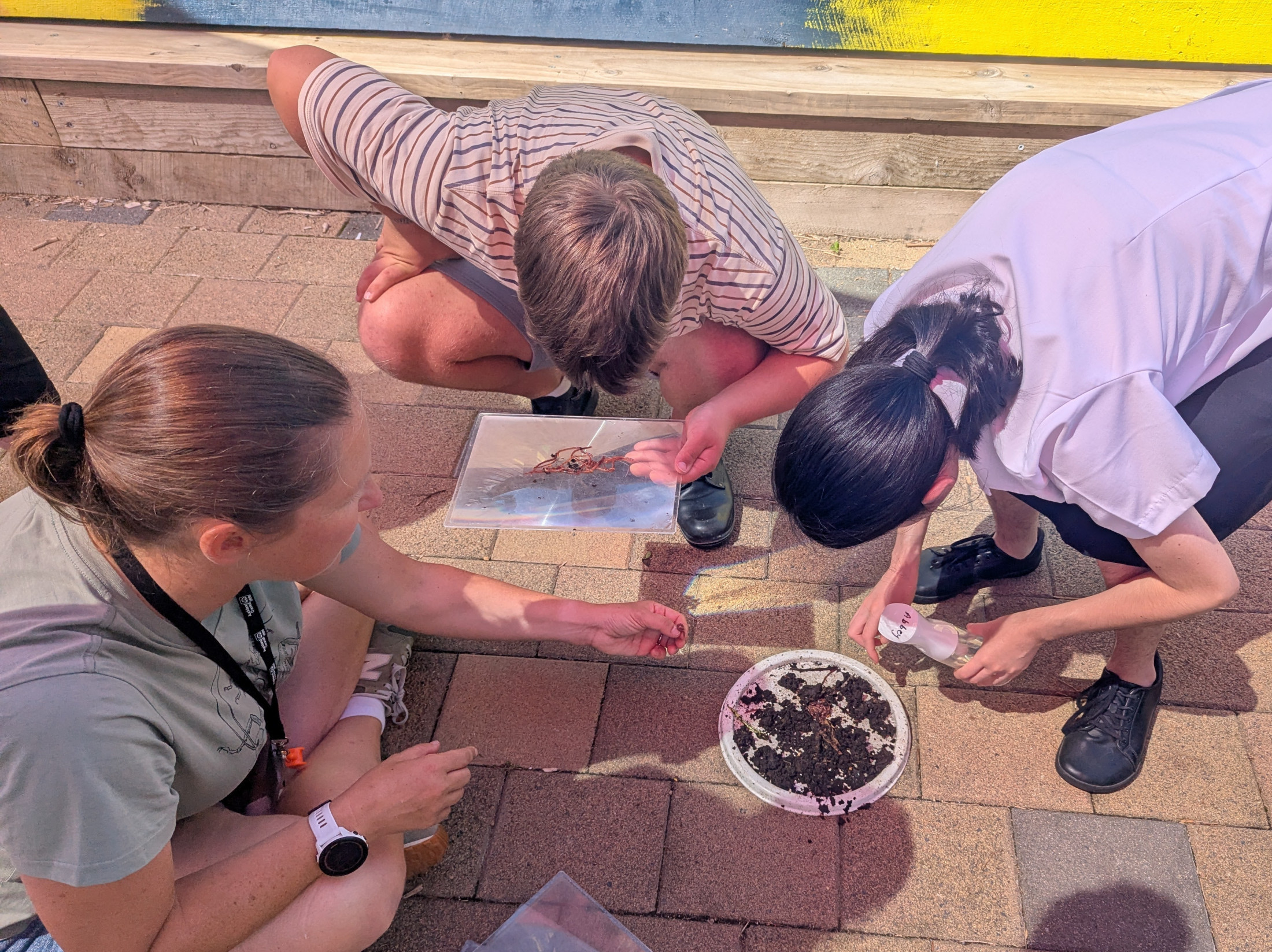 Tūrangawaewae visits Wastewise