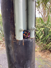 Tūrangawaewae spreads holiday cheer