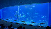 2025 Chinese Department Taiwan Trip
