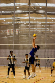 Rutherford College Senior Boys Volleyball Team Shine at Auckland Champs
