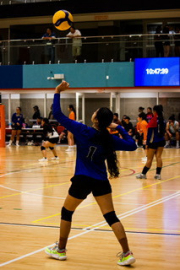 Girls Volleyball take on Auckland Champs