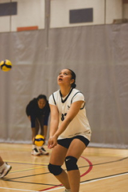 Girls Volleyball take on Auckland Champs