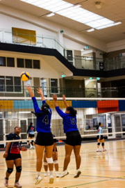 Girls Volleyball take on Auckland Champs