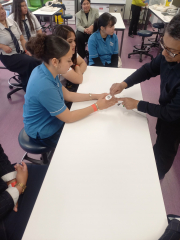 Year 11 Va'a Experience UofA Pacific Health Wayfinders